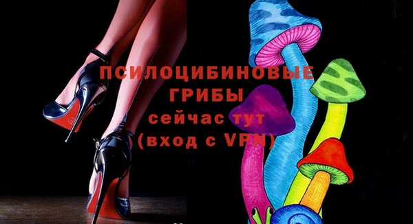 стаф Алзамай