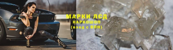 индика Алексеевка