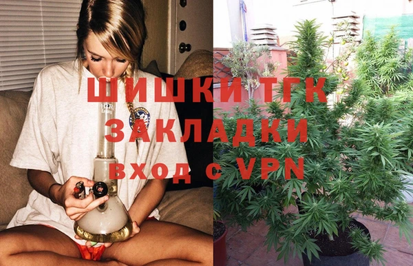 индика Алексеевка