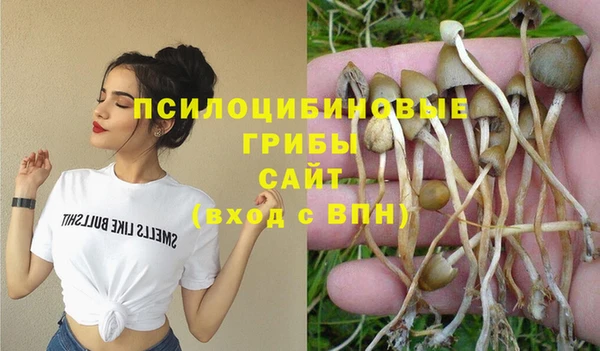 mix Аркадак