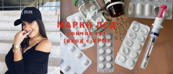 стаф Алзамай